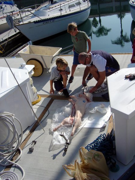 Preparing for the feast